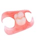 Dental Implant Services Salmon Creek Dentist - Vancouver WA Dentist